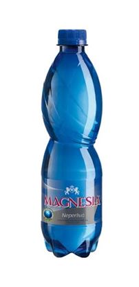Obrázek Magnesia minerální voda přírodní - neperlivá / 0,5 l
