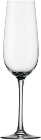 Obrázek z Stölzle Weinland skleničky na šampaňské 200ml 6ks