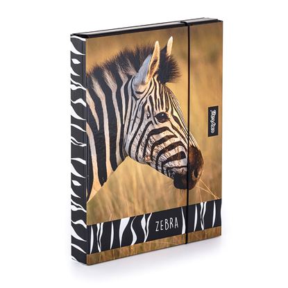 Obrázek Box A4 na sešity Jumbo / Zebra