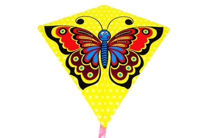 Obrázek Drak motýl - 68x73 cm