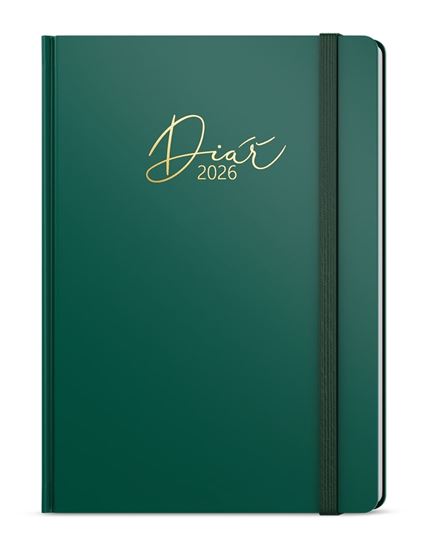 Obrázek z Diář LUXI - A5 / denní / zelená