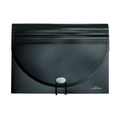 Obrázek Spisové desky CONCORDE s přihrádkami - 25 kapes