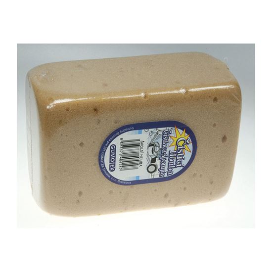 Obrázek z Školní houba - houba