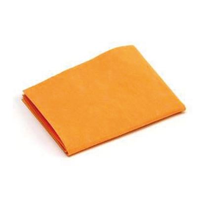 Obrázek Hadr na podlahu 50 x 55 cm