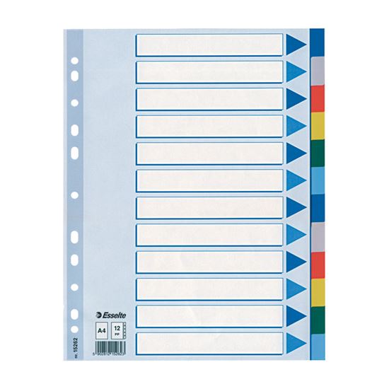 Obrázek z Rozdružovač A4 plastový Esselte - barevný / 12 listů