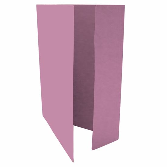 Obrázek z Odkládací mapy 251 EKONOMY - s jednou chlopní - růžová