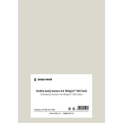 Obrázek Barevný karton - A4 / 160 g / světle šedá