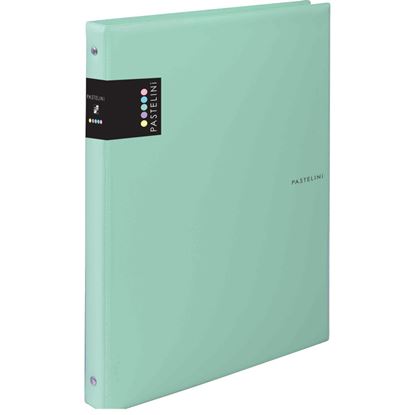Obrázek Kroužkový záznamník Karis PASTELINI - A4 / zelená