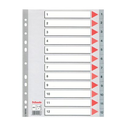 Obrázek Rozdružovač A4 plastový Esselte - šedý / 1 - 12