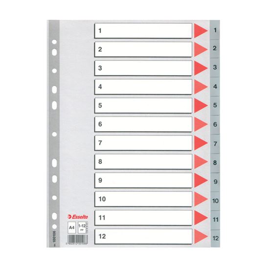 Obrázek z Rozdružovač A4 plastový Esselte - šedý / 1 - 12