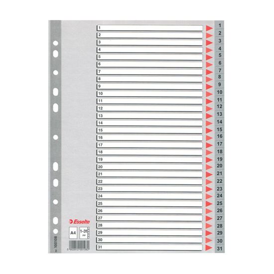 Obrázek z Rozdružovač A4 plastový Esselte - šedý / 1 - 31