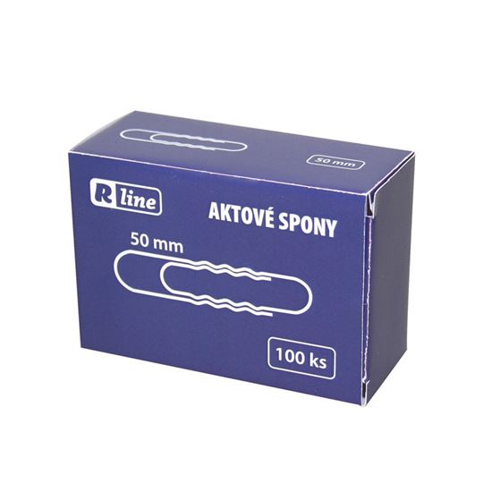 Obrázek z Aktové spony Economy - 50 mm / 100 ks