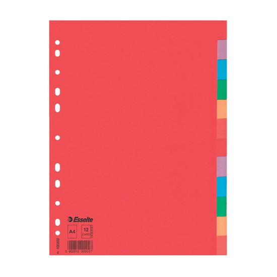 Obrázek z Rozdružovač A4 kartonový Esselte - barevný / 12 listů