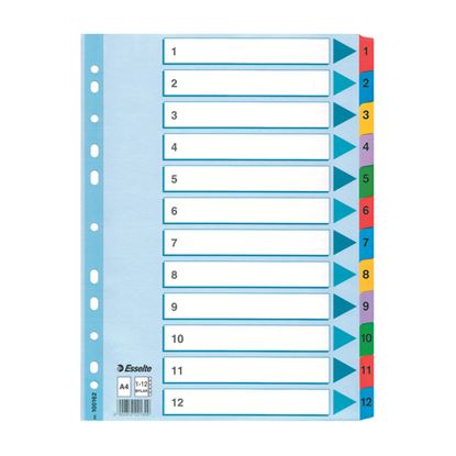 Obrázek Rozdružovač A4 kartonový Esselte Mylar - barevný / 1 - 12