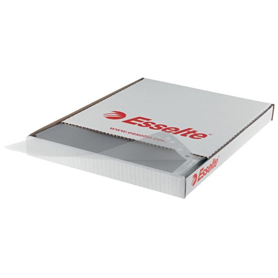 Obrázek z Závěsné obaly Esselte - A4 čirý / 55 my / 100 ks