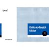 Obrázek z Optys 1010 kniha faktur vydaných 32 listů A4