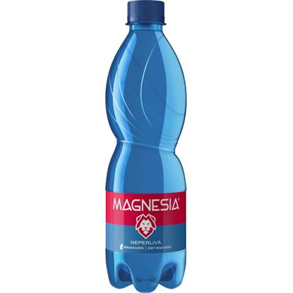 Obrázek Magnesia minerální voda přírodní - neperlivá / 0,5 l