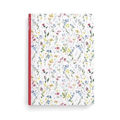 Obrázek Kniha záznamní A5 - linka / 100 l / louka