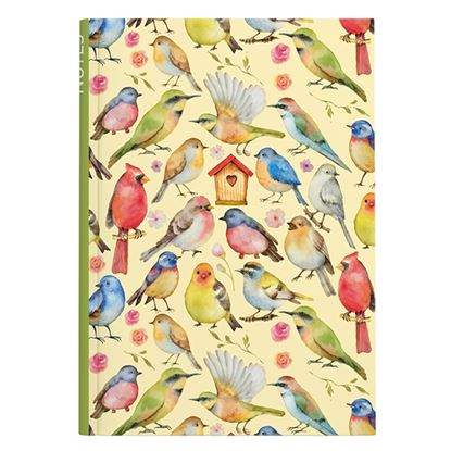 Obrázek Kniha záznamní A5 - linka / 100 l / ptáčci