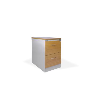 Obrázek Kartotéky kovové / čelo ze dřeva - RGD 12 CE / 2 zásuvky