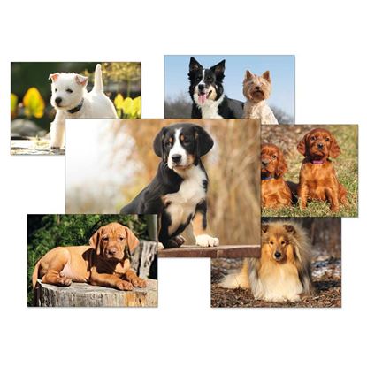 Obrázek Pohlednice - psi / mix