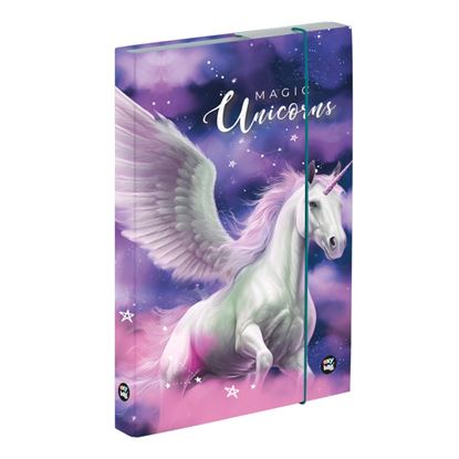 Obrázek Box na sešity A4 - Pegas II.