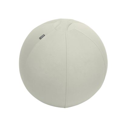 Obrázek Míč gymnastický na sezení Leitz Ergo s těžítkem - sv. šedý / 55 cm