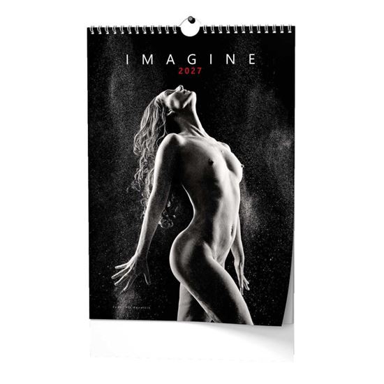 Obrázek z Kalendář nástěnný - Imagine / BNE9