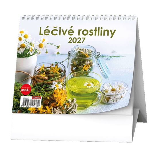 Obrázek z Kalendář stolní MINI - Léčivé rostliny / BSK6