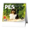 Obrázek z Kalendář stolní MINI - Pes, věrný přítel / BSL7