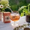 Obrázek z Čaj LEROS ledový - Eukalyptus Cold brew