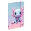 Obrázek Box na sešity A5 - Axolotl