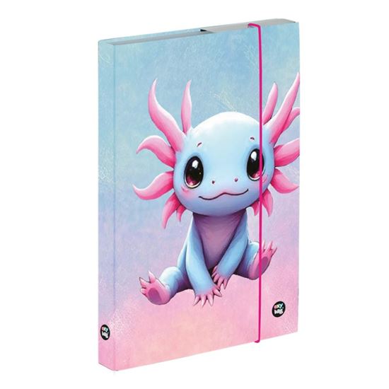 Obrázek z Box na sešity A4 - Axolotl
