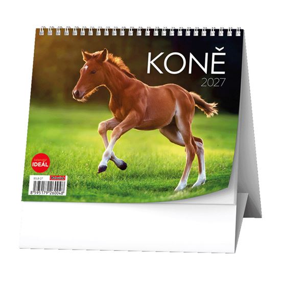 Obrázek z Kalendář stolní MINI - Koně / BSL8