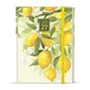 Obrázek z Diář LAMINO - B6 / týdenní / Citron