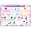 Obrázek z Vzdělávací karty A4 - Motýl / sada 5 ks