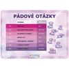 Obrázek z Vzdělávací karty A4 - Motýl / sada 5 ks