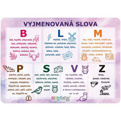 Obrázek Vzdělávací karty A4 - Vyjmenovaná slova