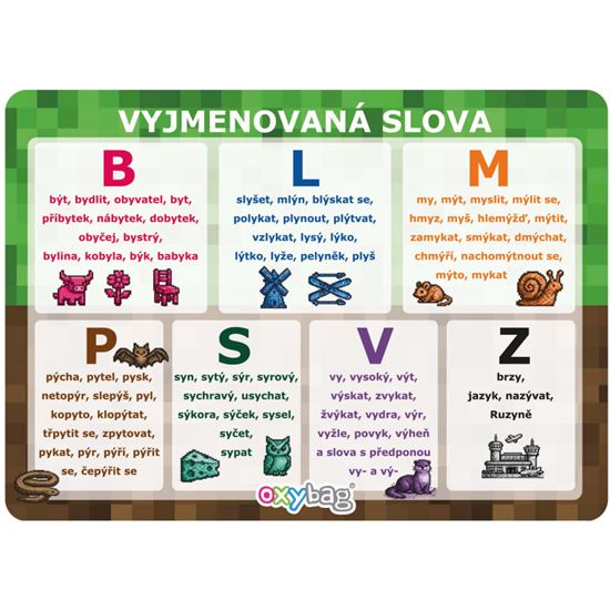 Obrázek z Vzdělávací karty A4 - Vyjmenovaná slova / Playworld