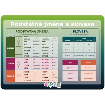 Obrázek Vzdělávací karty A4 - Podstatná jména a slovesa
